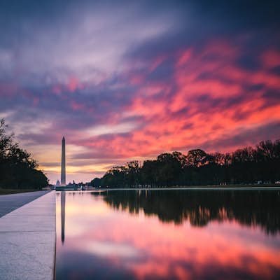 Visit the National Mall in Washington D.C.