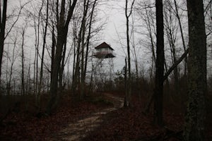 Pinnacle Knob Fire Tower  