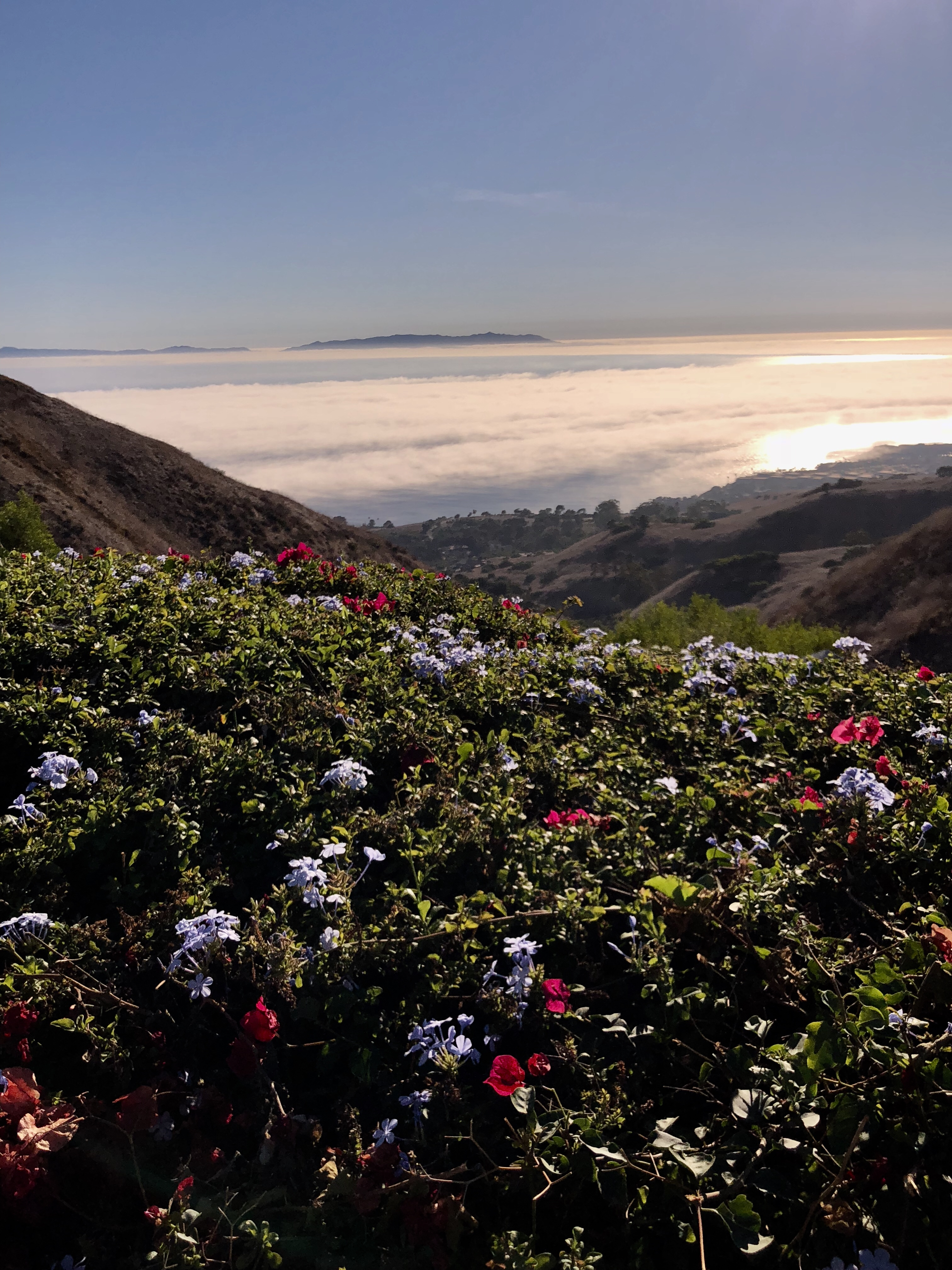 Burma Road Trail & Ishibashi Trail Loop