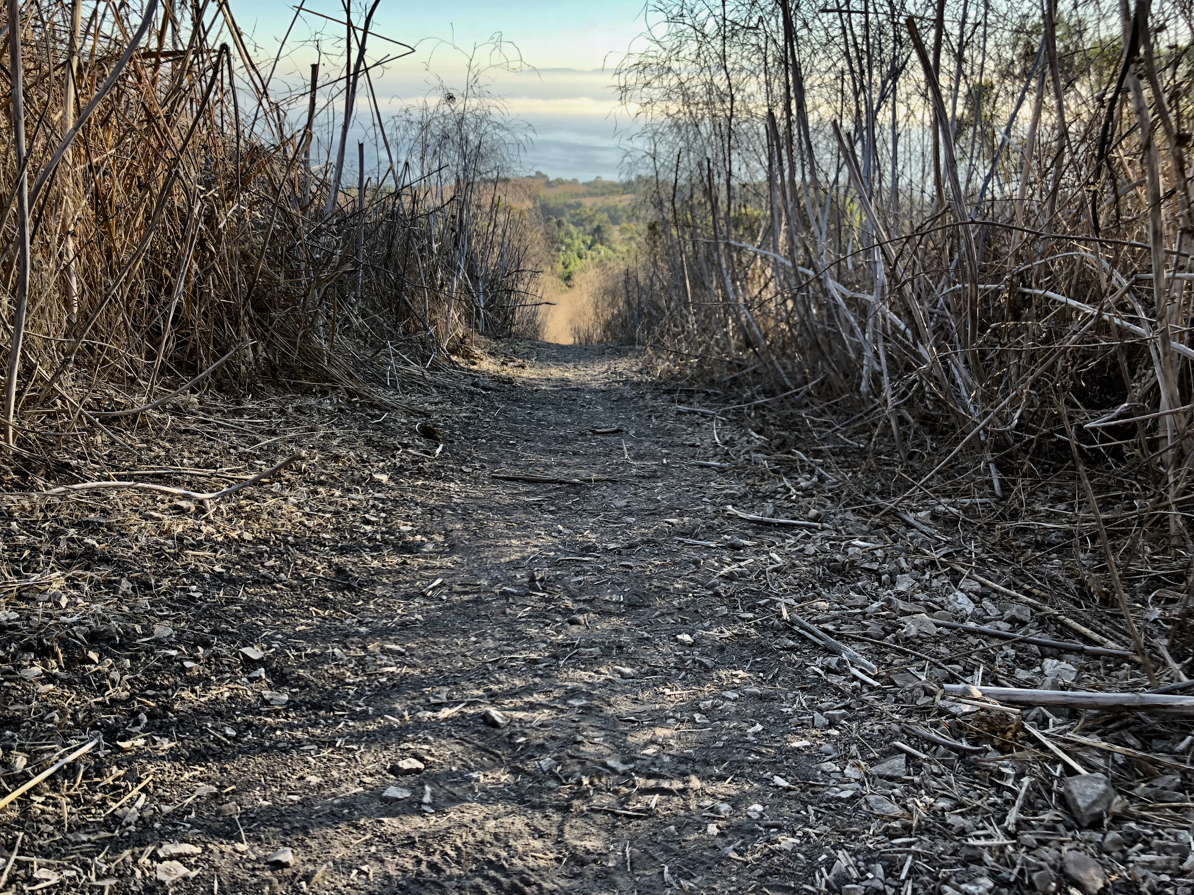 Burma Road Trail & Ishibashi Trail Loop