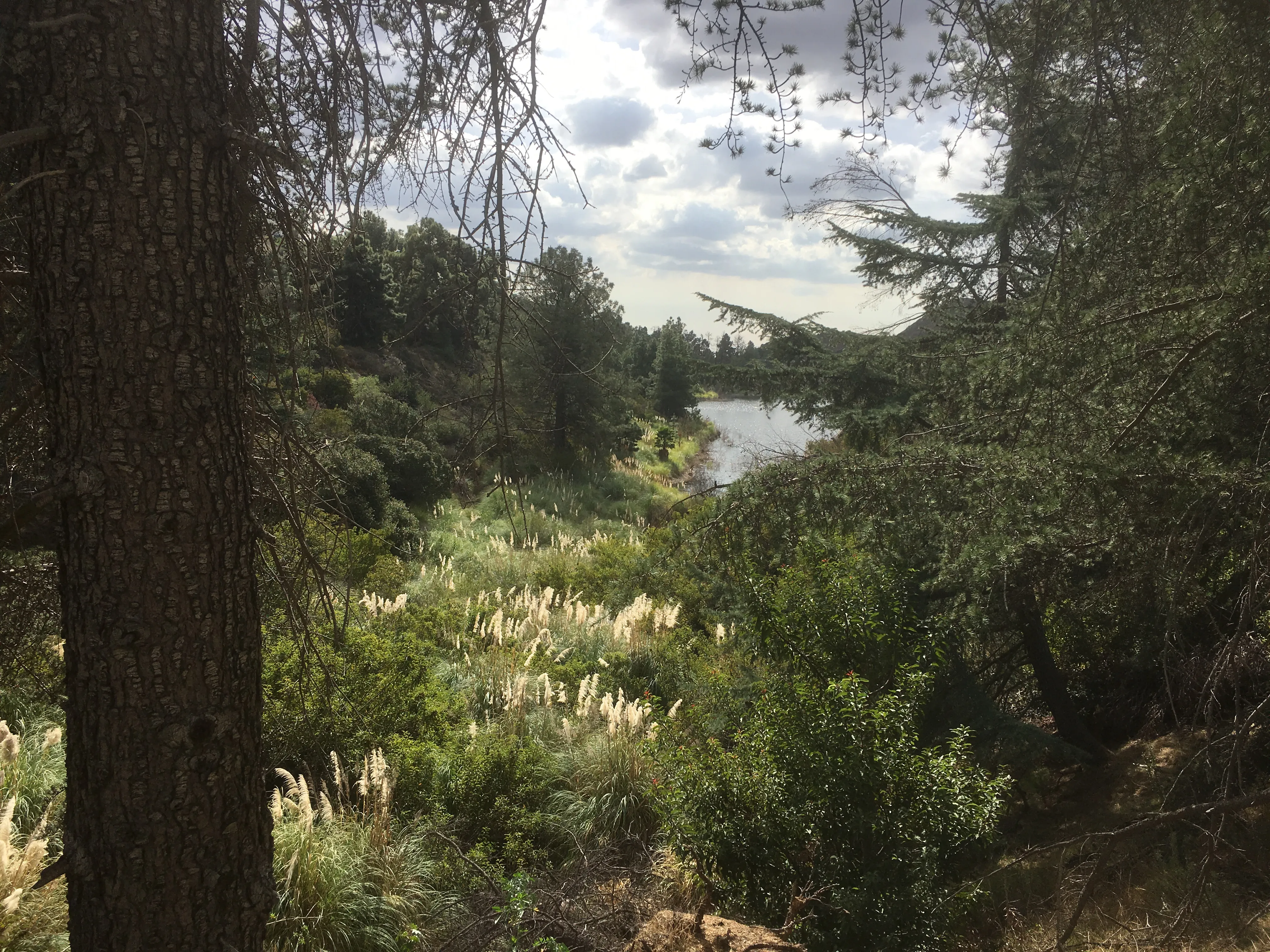 Lake Hollywood Trail
