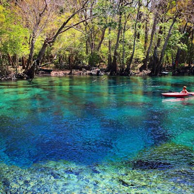 Paddle to Cypress Spring