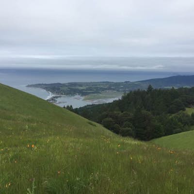 Ridge to Bridge: A Fundraising Event for the Bay Area Ridge Trail Council