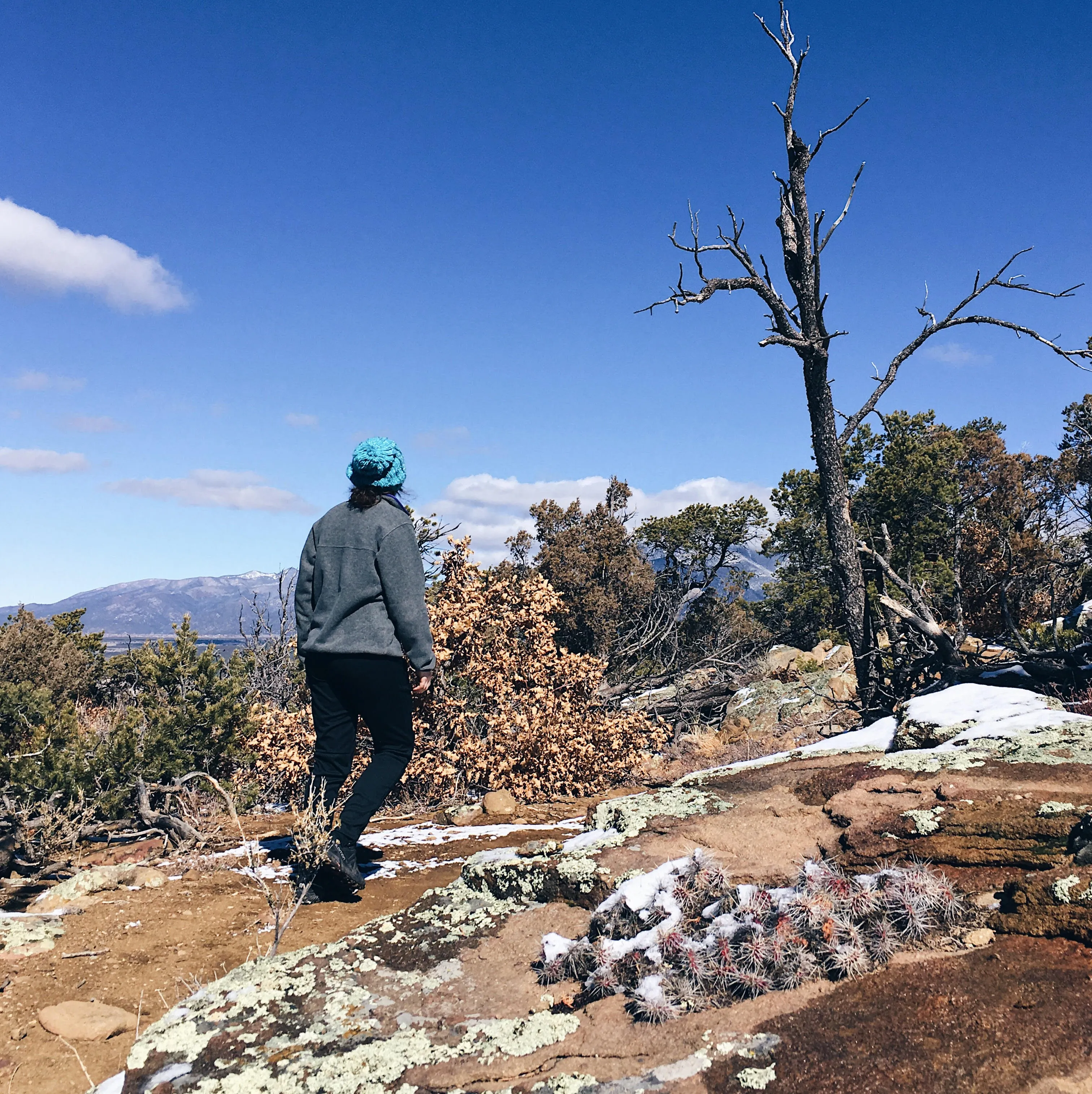 Devisadero Peak
