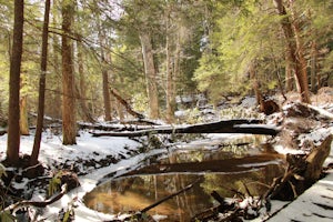 Hike the Cathedral Trail in Cathedral SP