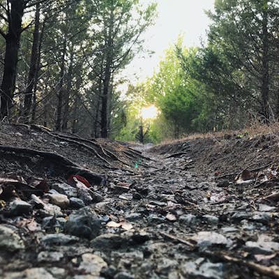 Hike Sister Groves Trail