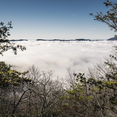 Hike the Arkaquah Trail to Brasstown Bald