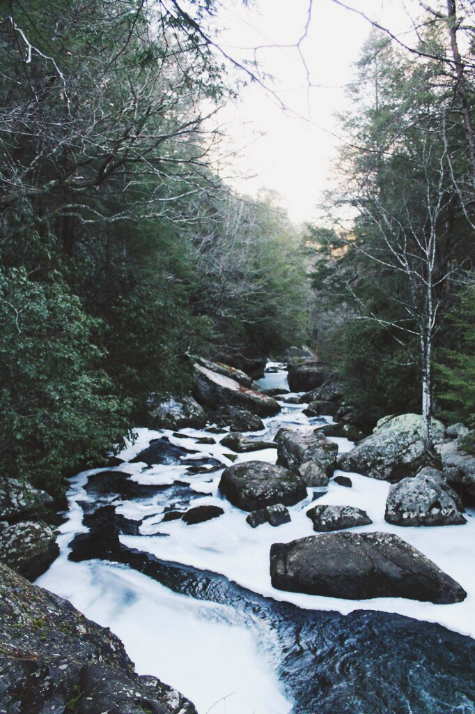 Savage Falls Trail