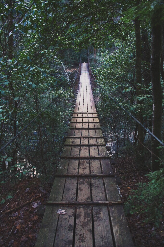 Savage Falls Trail