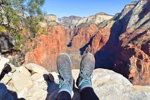 Our Hike to Angels Landing: Dangerous? Maybe. Amazing? Definitely. 