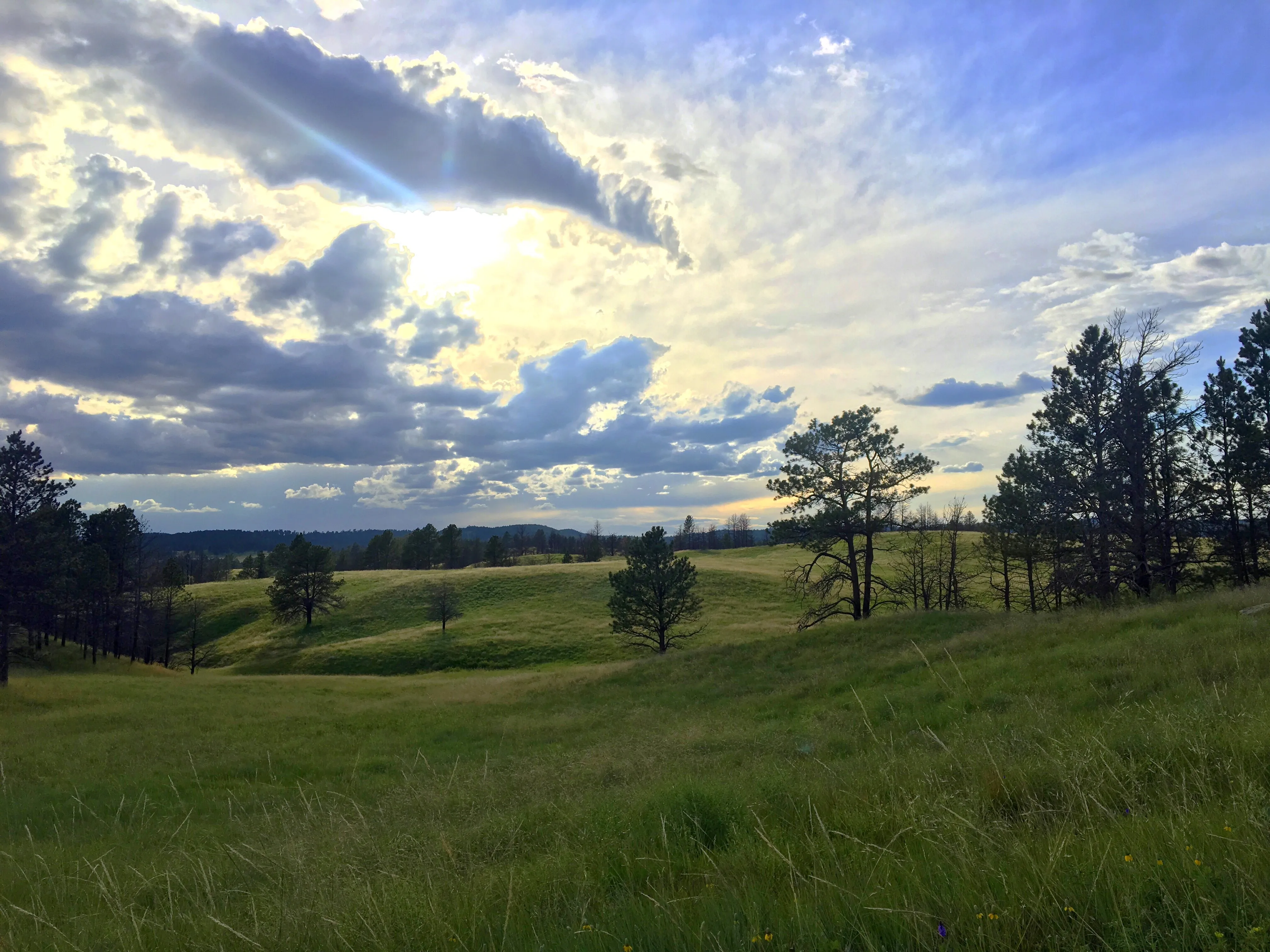 Gobbler Ridge Road