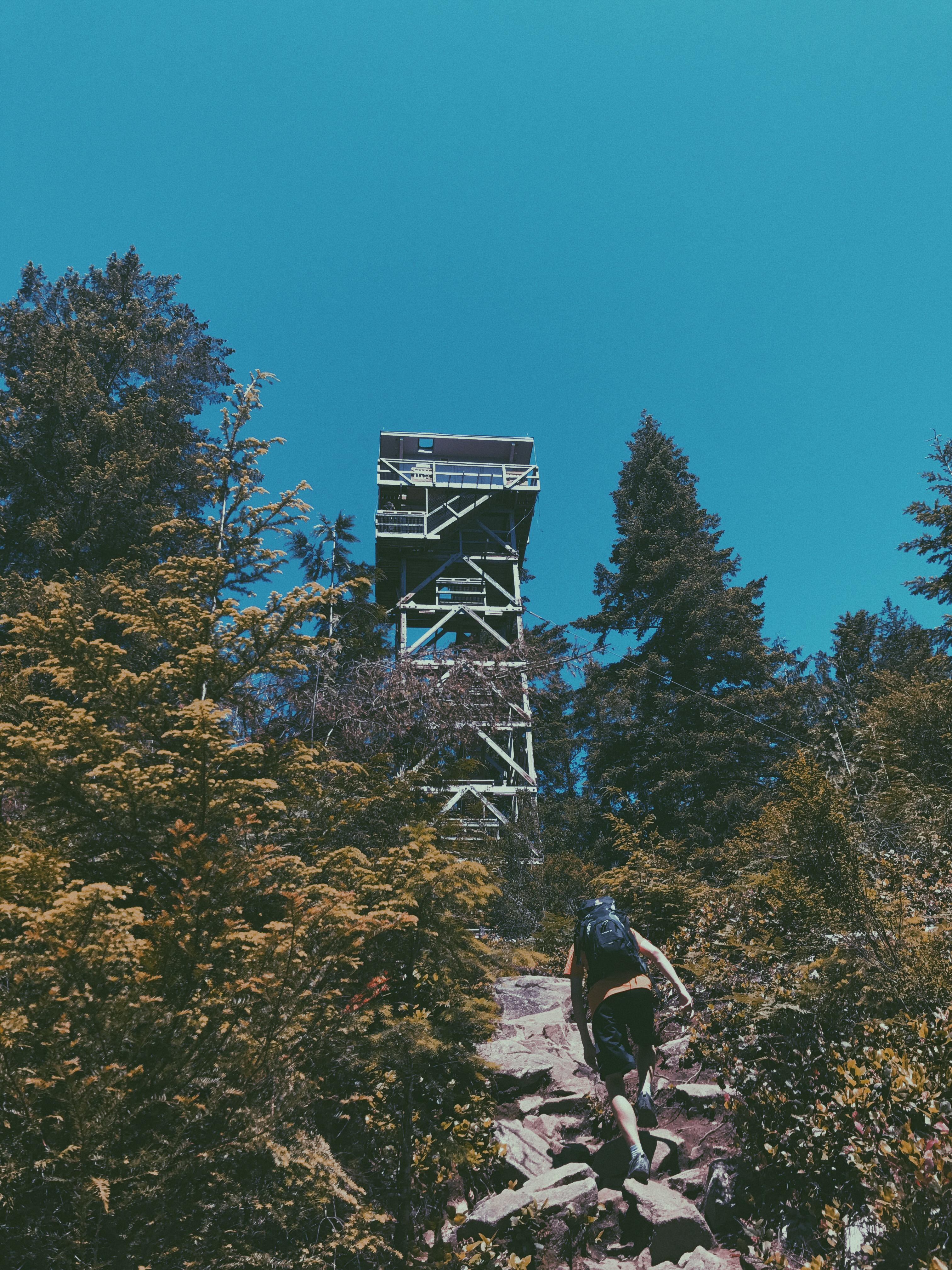 Heybrook Lookout