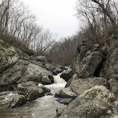 Difficult Run, Ridge, and River Trails