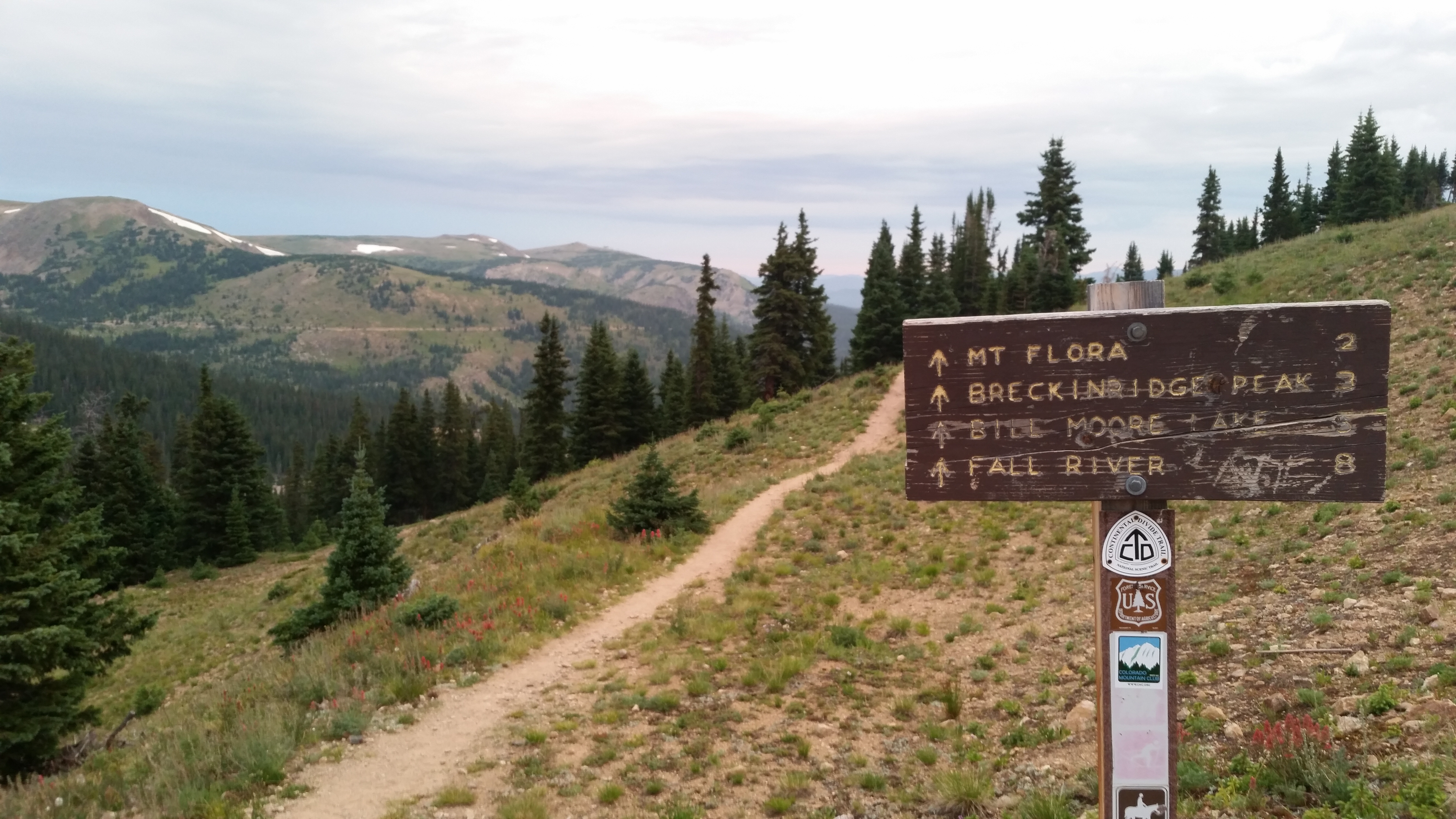 Mount Flora