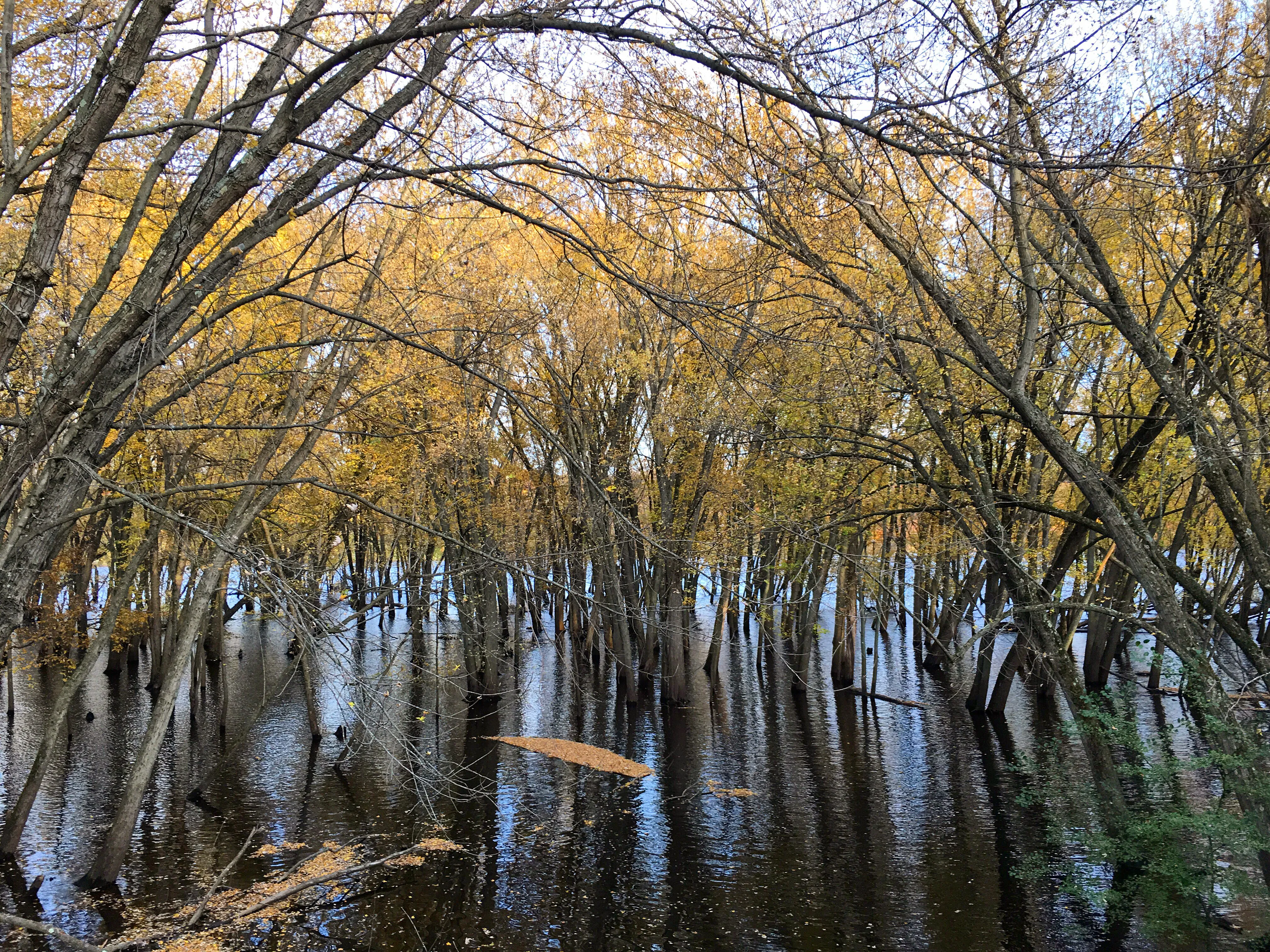 North River Trail Loop