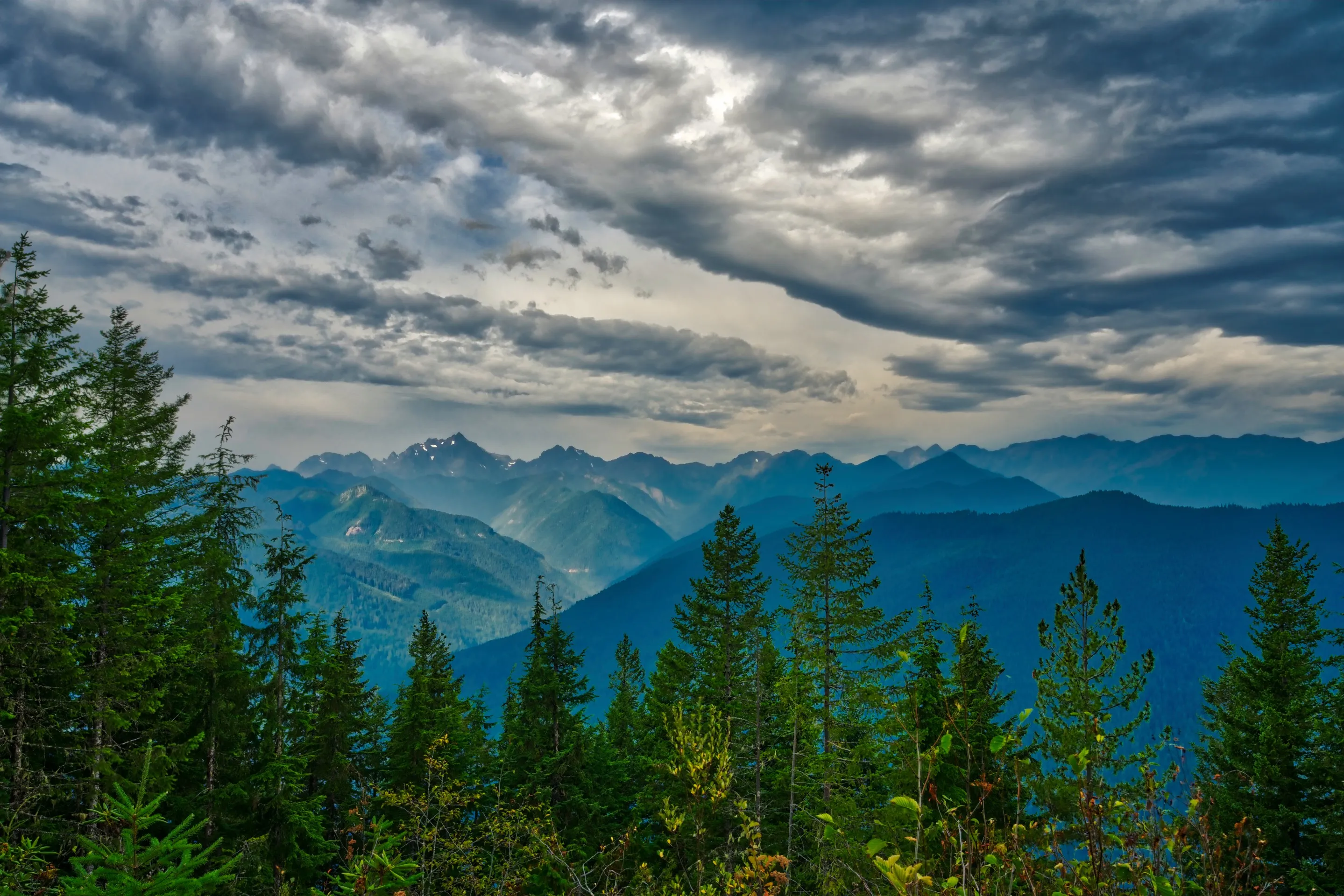 Photo of Hike to Mt. Walker North & South Viewpoints
