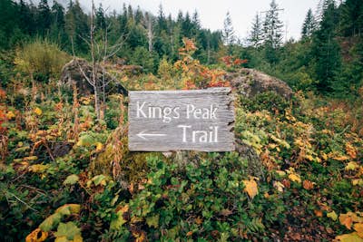 King's Peak Trail