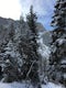 Snowshoe the Rock Canyon Trail