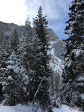 Snowshoe the Rock Canyon Trail