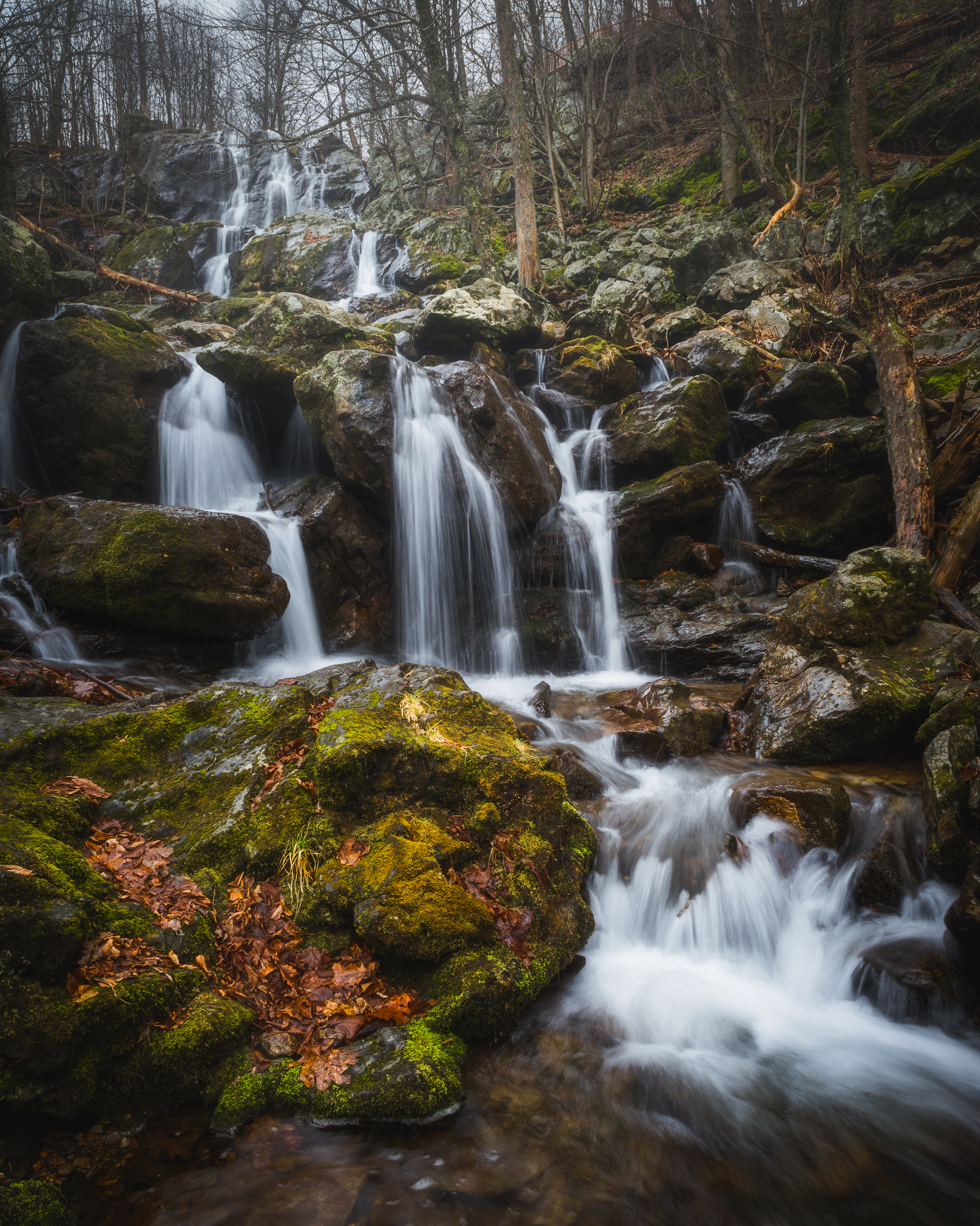 Dark Hollow Falls