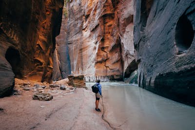 The Narrows: Zion National Park