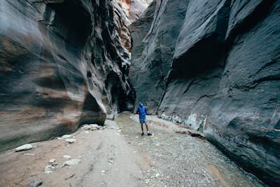 The Narrows: Zion National Park