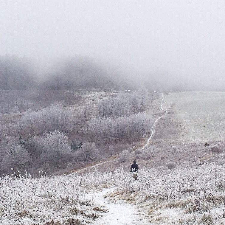 Max Patch Mountain