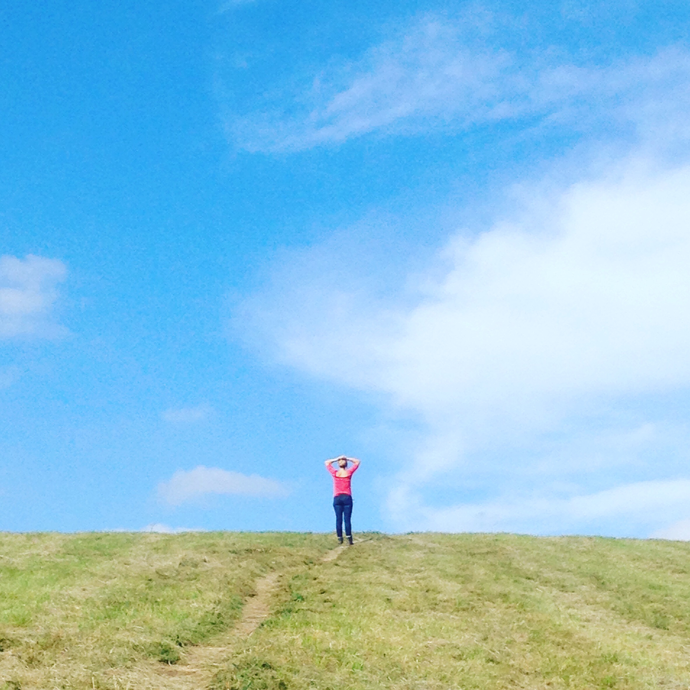 Max Patch Mountain