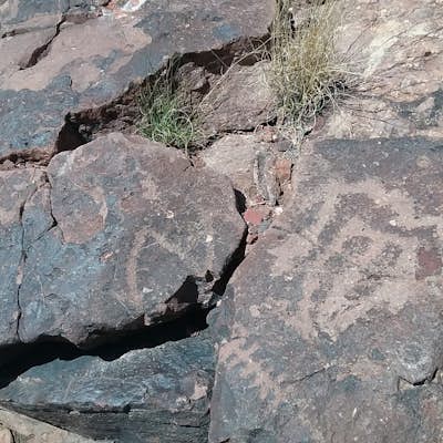Rincon Petroglyphs