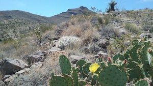 Hike the Sierra Vista Trail