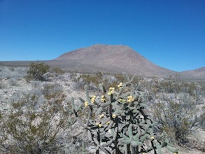 Hike to Cox Peak and Mount Riley