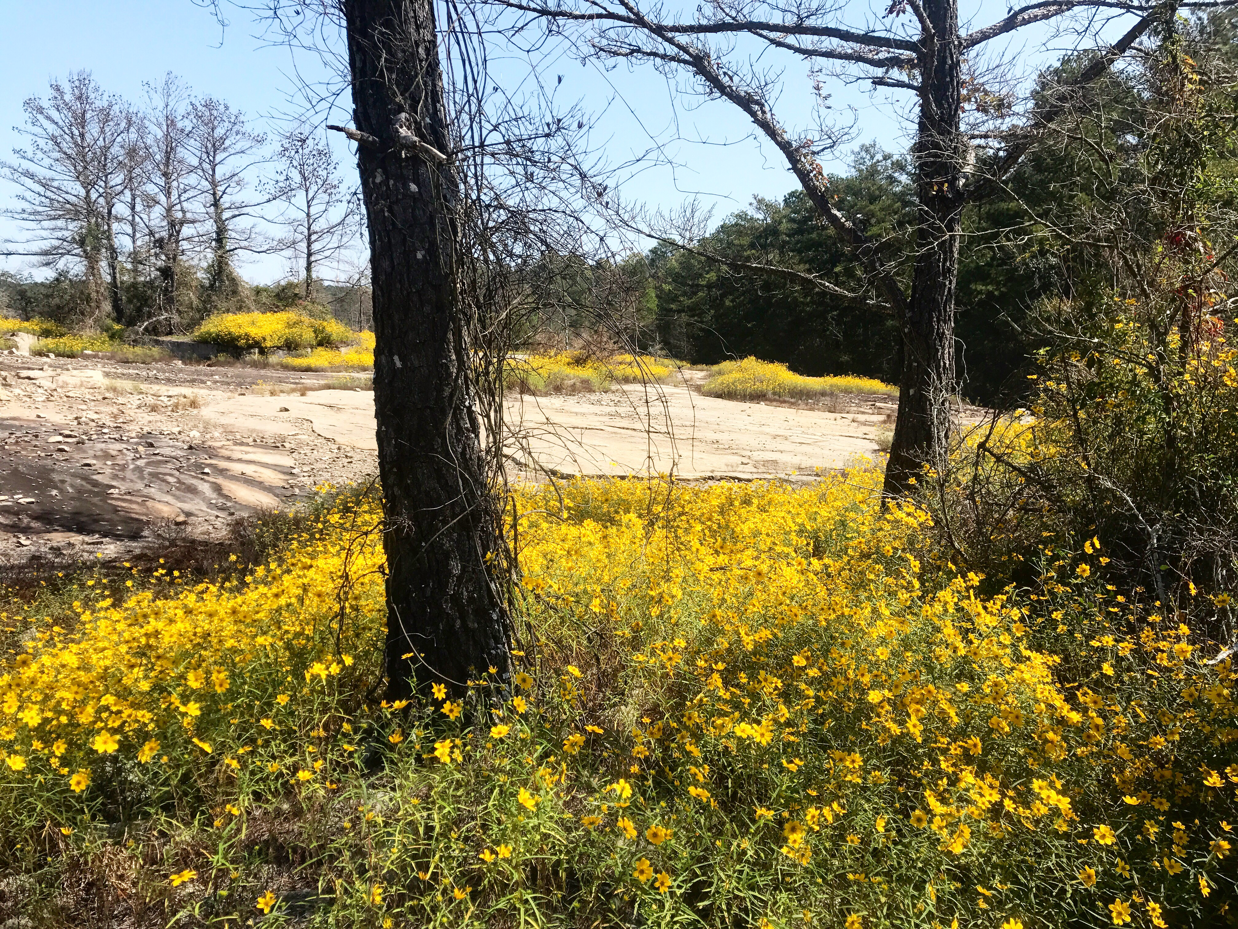 Arabia Mountain