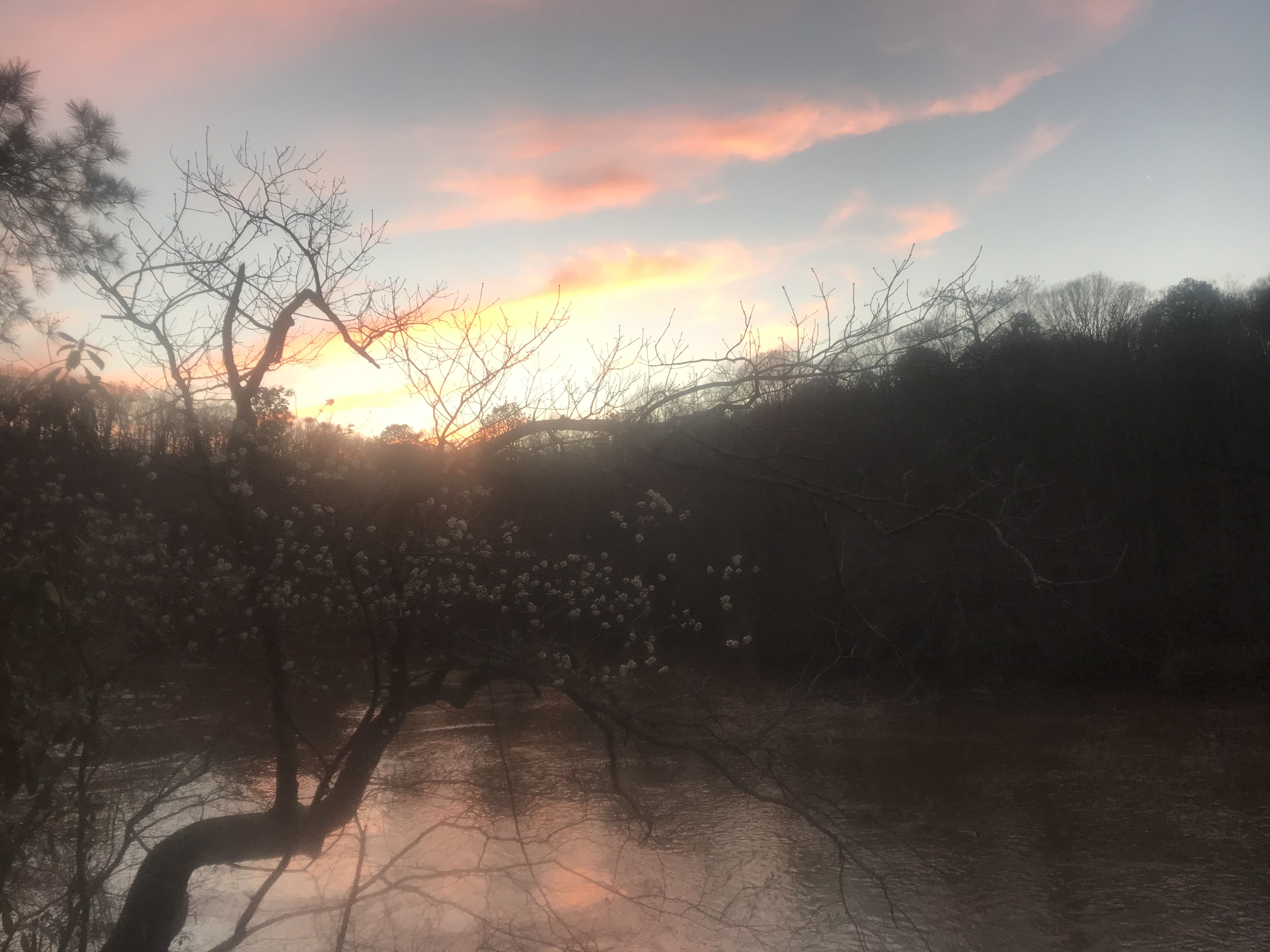 East Palisades Trail