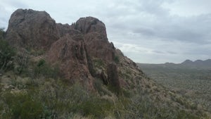 Explore the Dona Ana Mountains