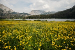 Big Sandy Lake