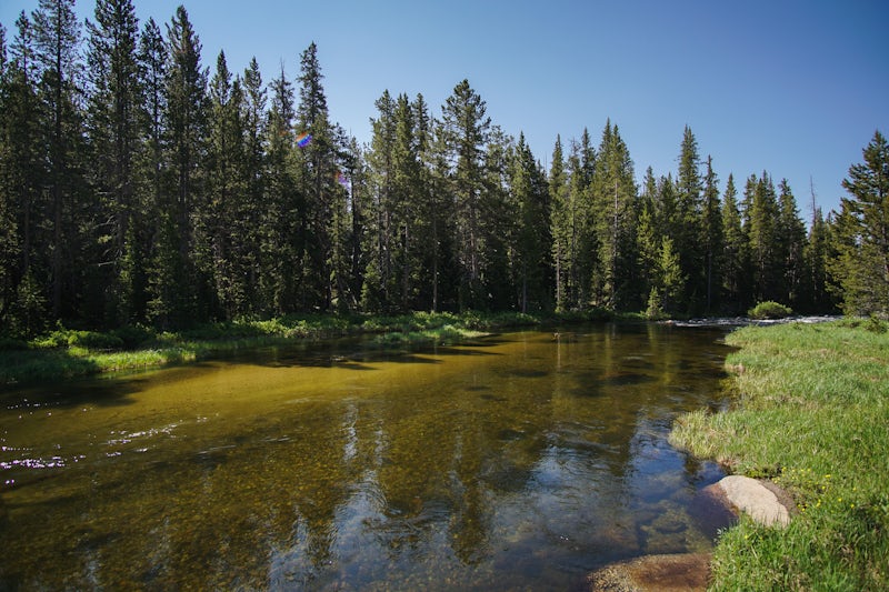 Photo of Big Sandy River