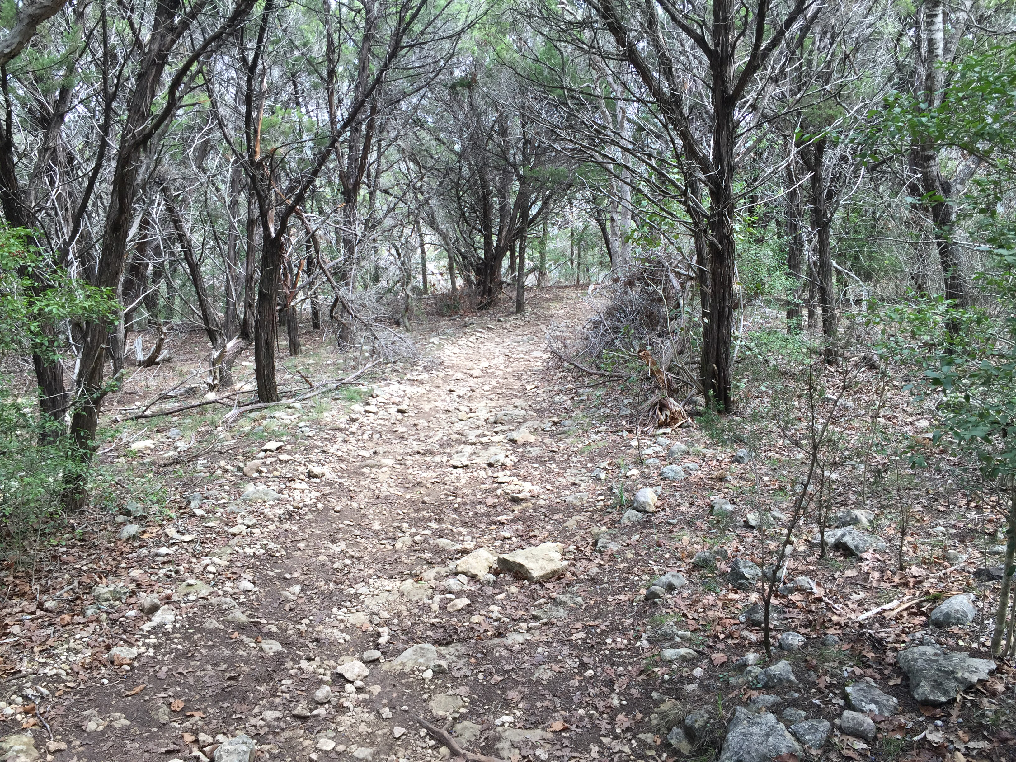 St. Edwards Park Yellow & Blue Trails