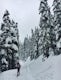 Snowshoe/Ski Bennett Pass Sno Park