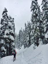 Snowshoe/Ski Bennett Pass Sno Park