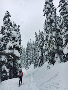 Snowshoe/Ski Bennett Pass Sno Park