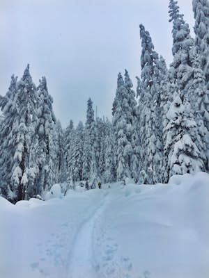 Snowshoe/Ski Bennett Pass Sno Park