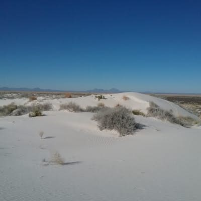 Hike the Salt Basin Dunes Trail