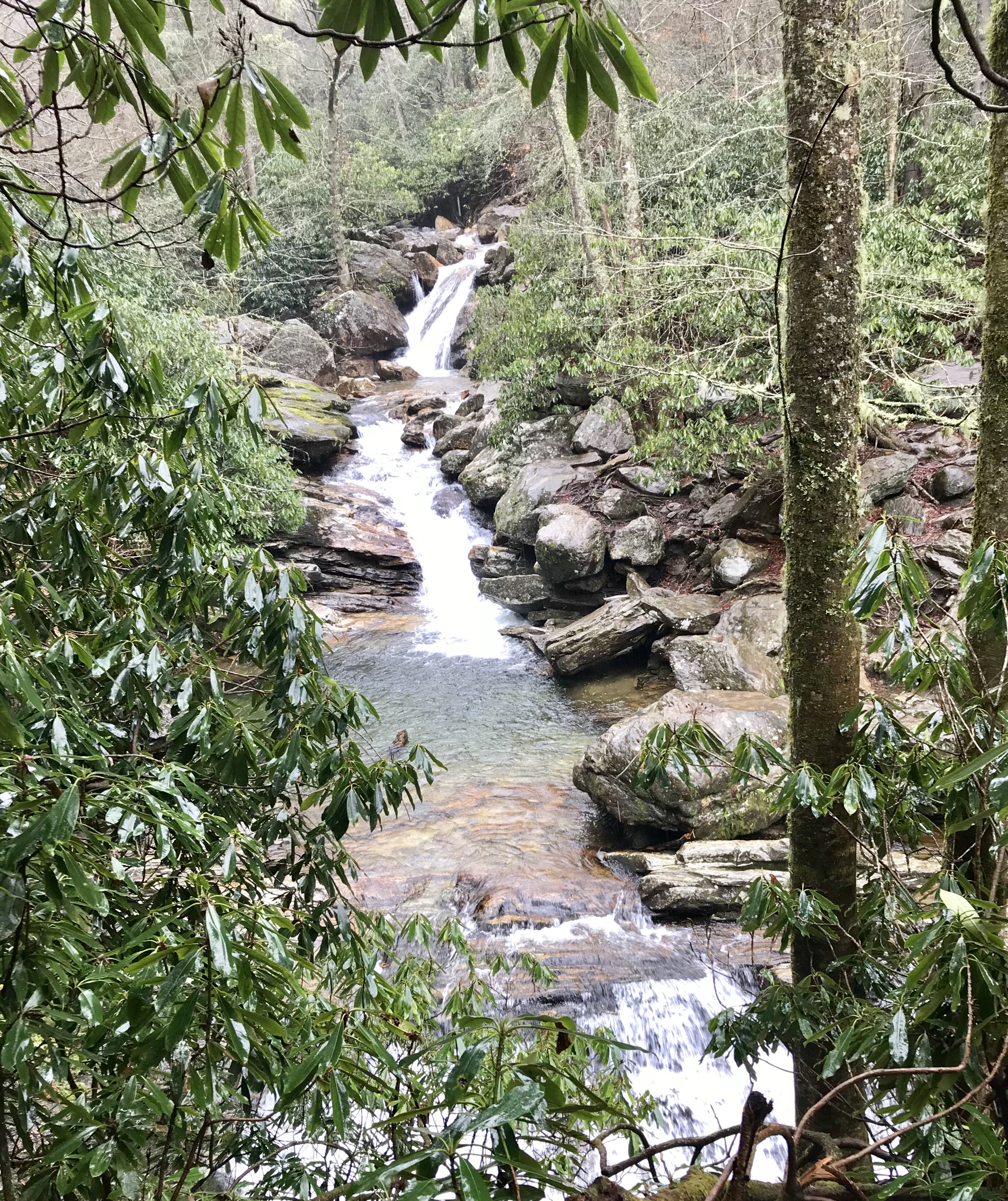Skinny Dip Falls