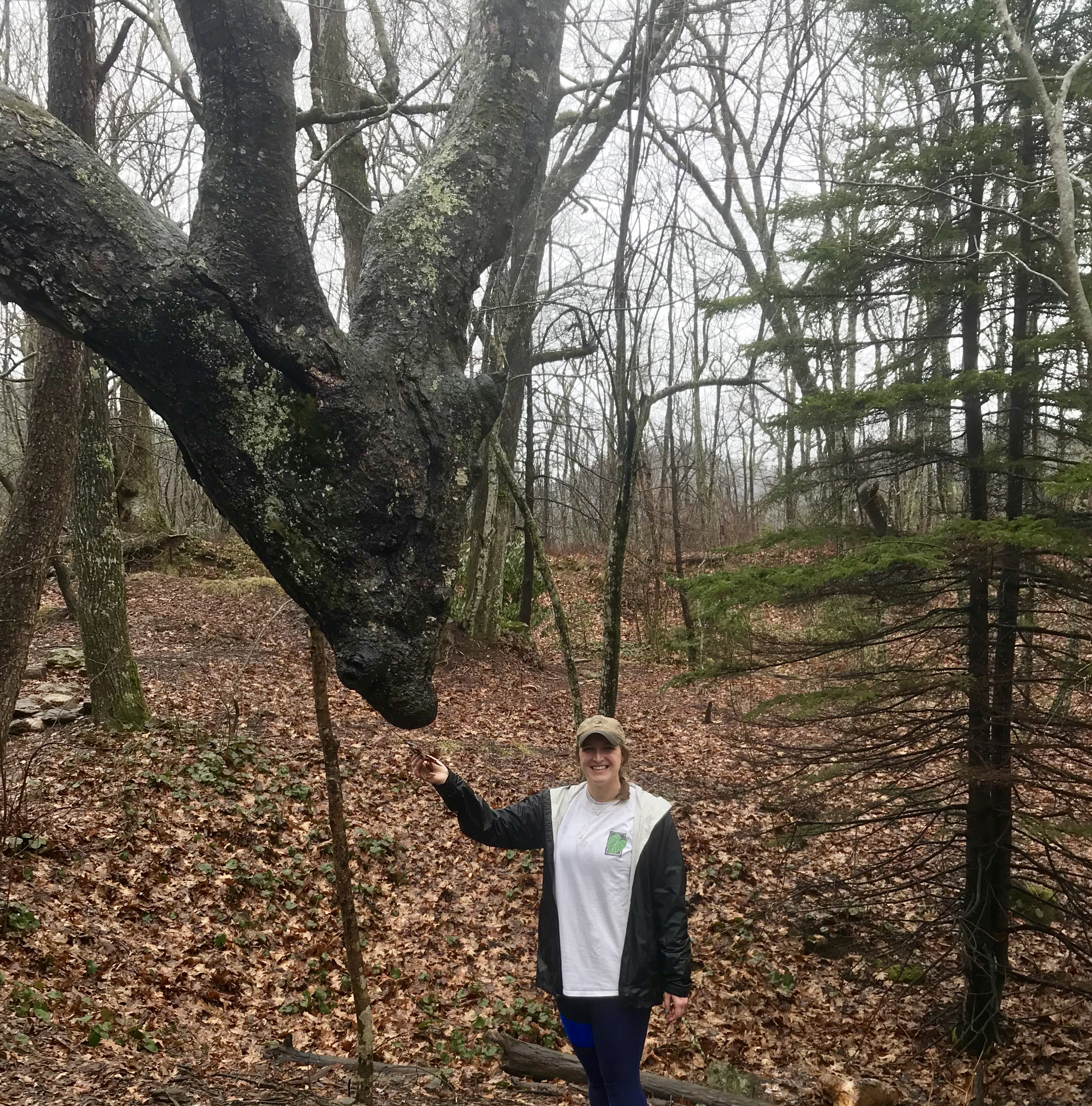 Skinny Dip Falls