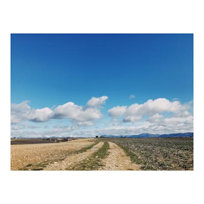 Photograph the Lavender fields of Plateau de Valensole