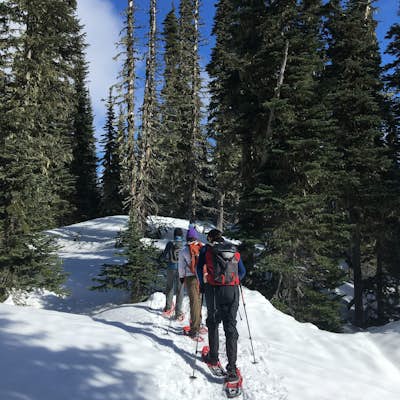 Snowshoe or Ski to Mazama Ridge