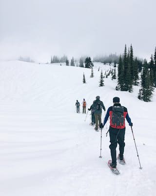 Snowshoe or Ski to Mazama Ridge