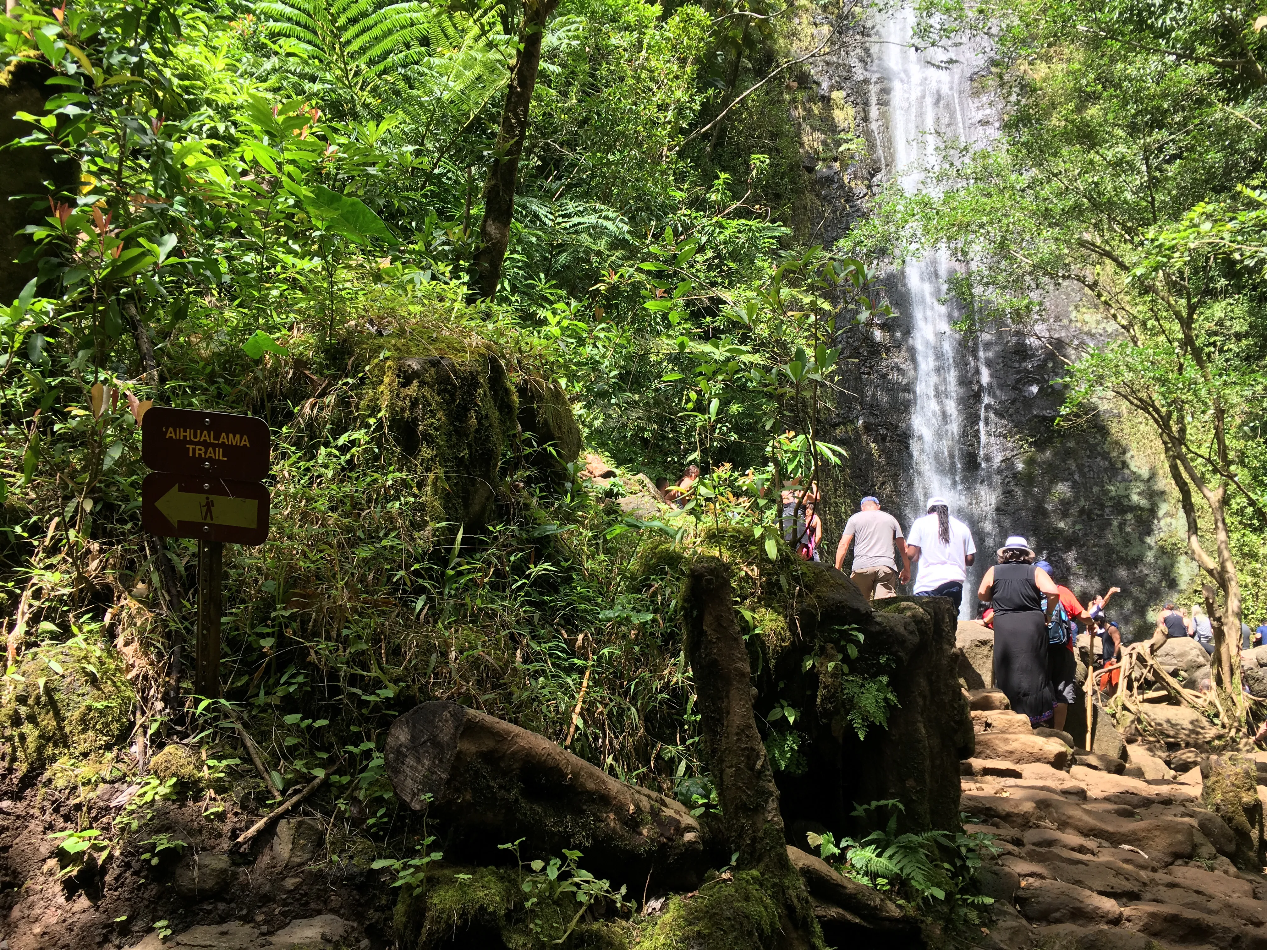 Aihualama Trail 