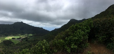 Hike the Aihualama Trail , Manoa Falls Trail