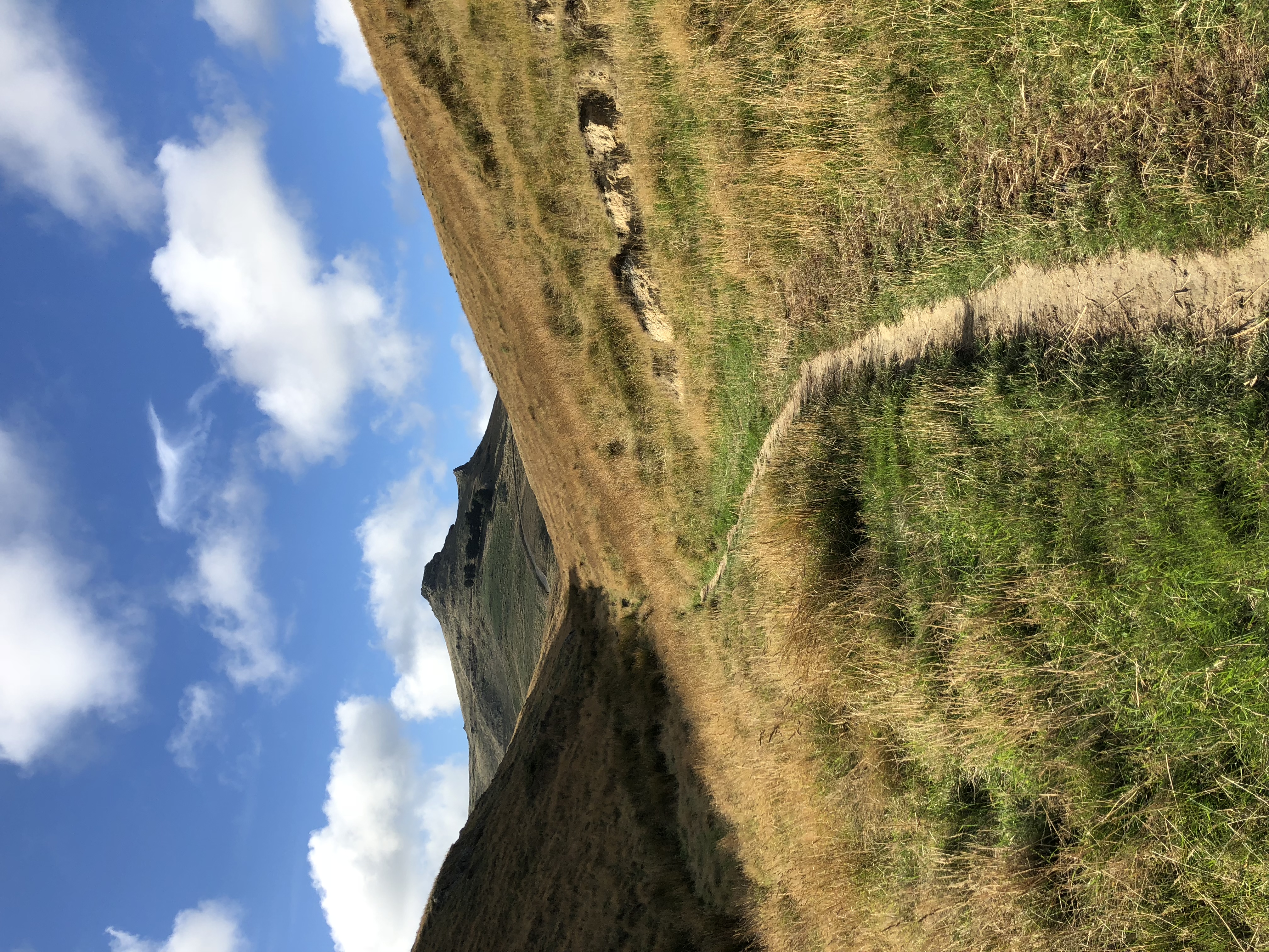 Bike and Hike the Port Hills (Christchurch)